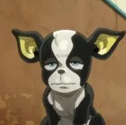 Hiの画像