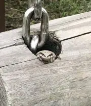 やーまん
