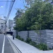 マツモトの画像