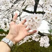 暁