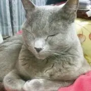 たあちんの画像