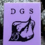 裏般若_DGShaoの画像