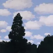 ぱーむ