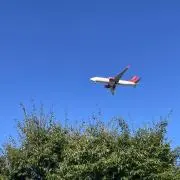 ミルキーの画像