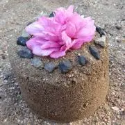 おかなの画像