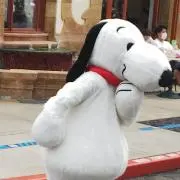 なまたまごの画像