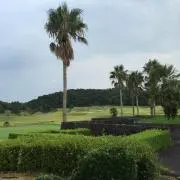 相撲レスラーの画像