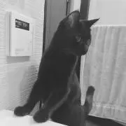 Masatoの画像