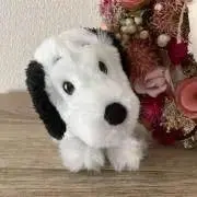 ぽぽちゃんの画像