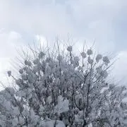 えるちゃ