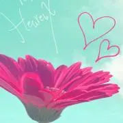 Lilybear*✲゜*。 ♪*ꕤ*.゜