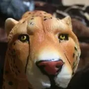 にゃこ〈プロフィール要確認〉