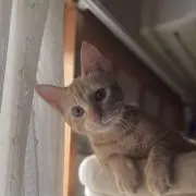 KDBの画像