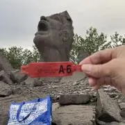 ひでとら