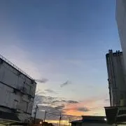 高橋英樹の画像