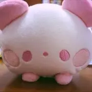 ゆうさんの画像