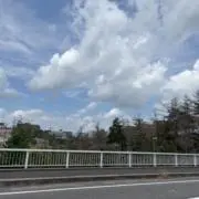 松の画像
