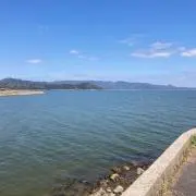 Mの画像