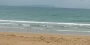 ララの画像