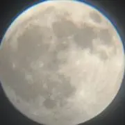 ჱ̒՞ ̳ᴗ ̫ ᴗ ̳՞꒱即購入◯の画像