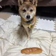 crem1009の画像