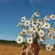 hanaの画像