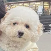るせ