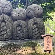 本屋なの？珍しい本多めの画像