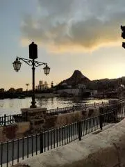 114851の画像