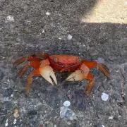 あなの画像
