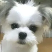 ℛ⃛