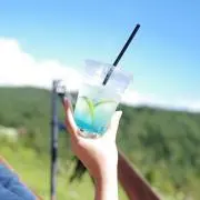 ヘッジホッグの画像