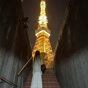 ハルカの画像
