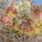 apipi◎プロフご確認くださいの画像