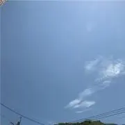 アーチーの画像