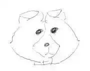 boyoyongoの画像