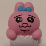 たきみの画像