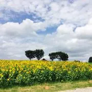 soy☺︎の画像