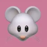 nの画像