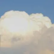 木のみ