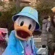 ぷりん  断捨離中の画像
