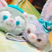 ゆあ*プロフ必読の画像