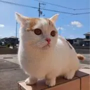 あーちゃん