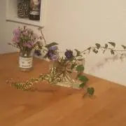 ユミの画像