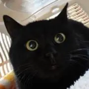 いー