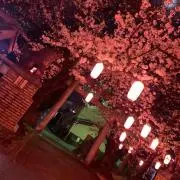こんにちは
