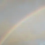 ひろりんりんの画像