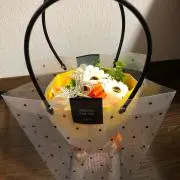 えるぐらの画像