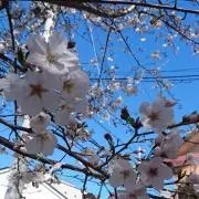 hiroの画像