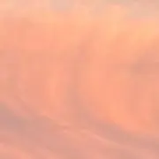 さつまいもの画像